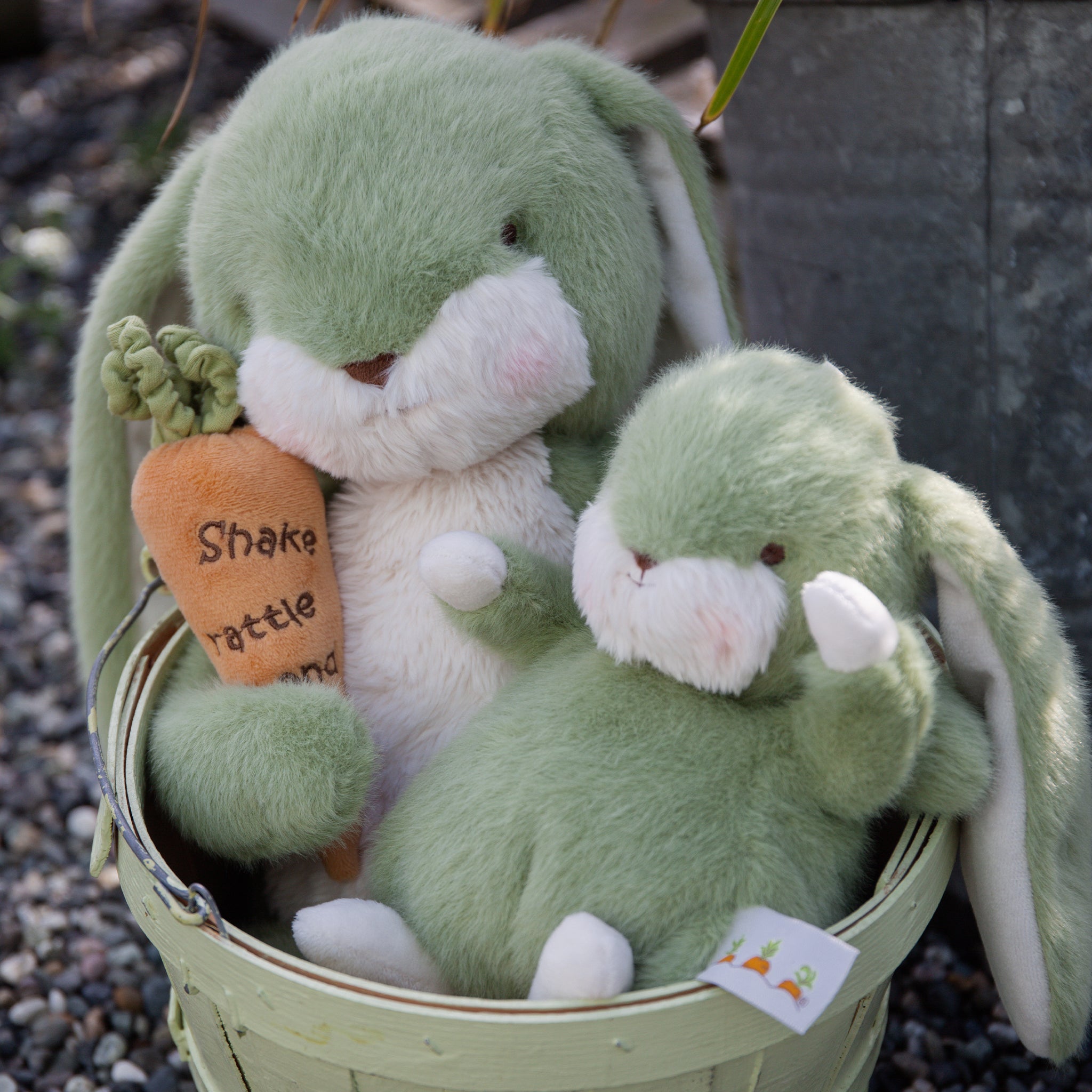 Spring 2025! 190545: Sweet 16" Nibble Bunny – Pistachio