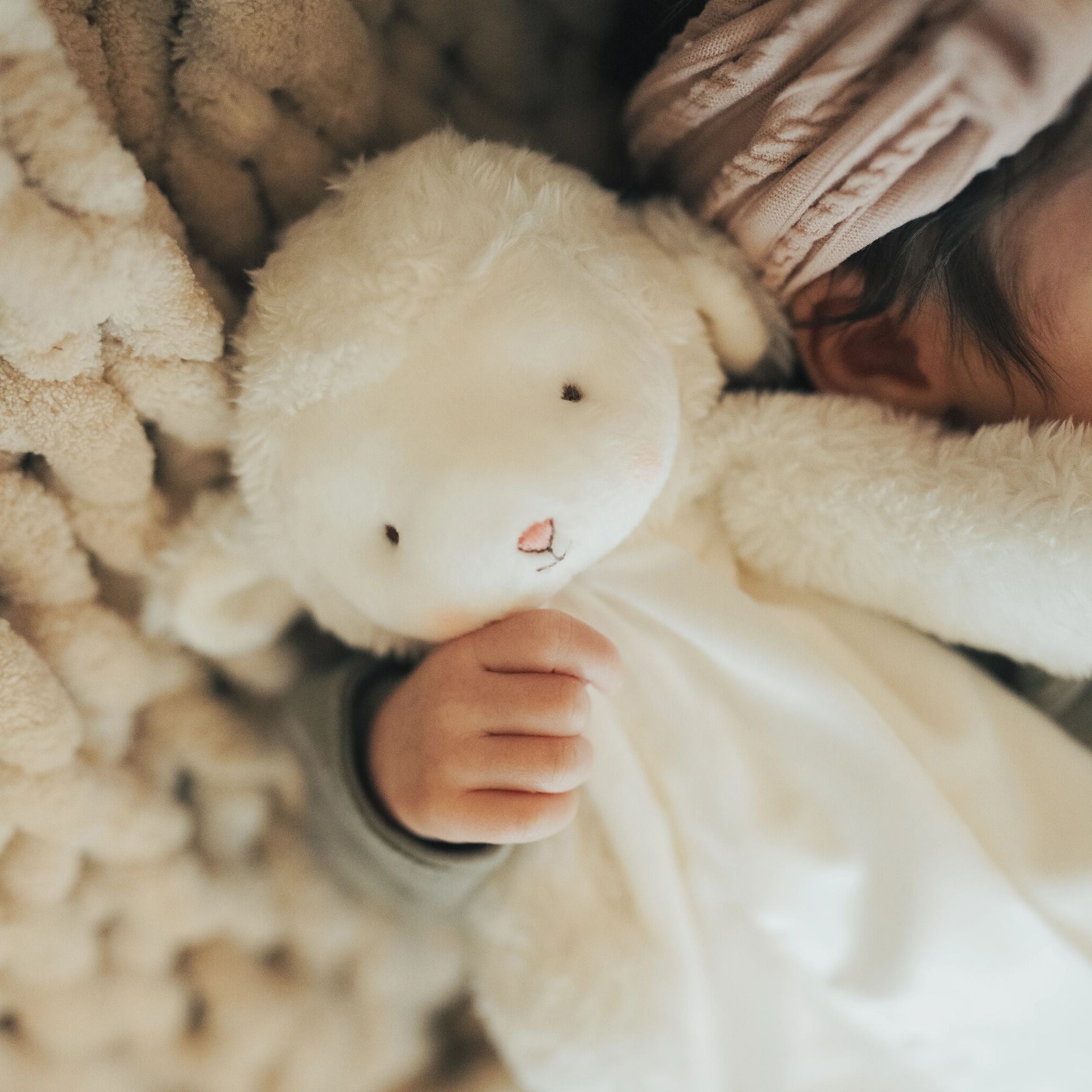151950: Kiddo the Lamb Bye Bye Buddy