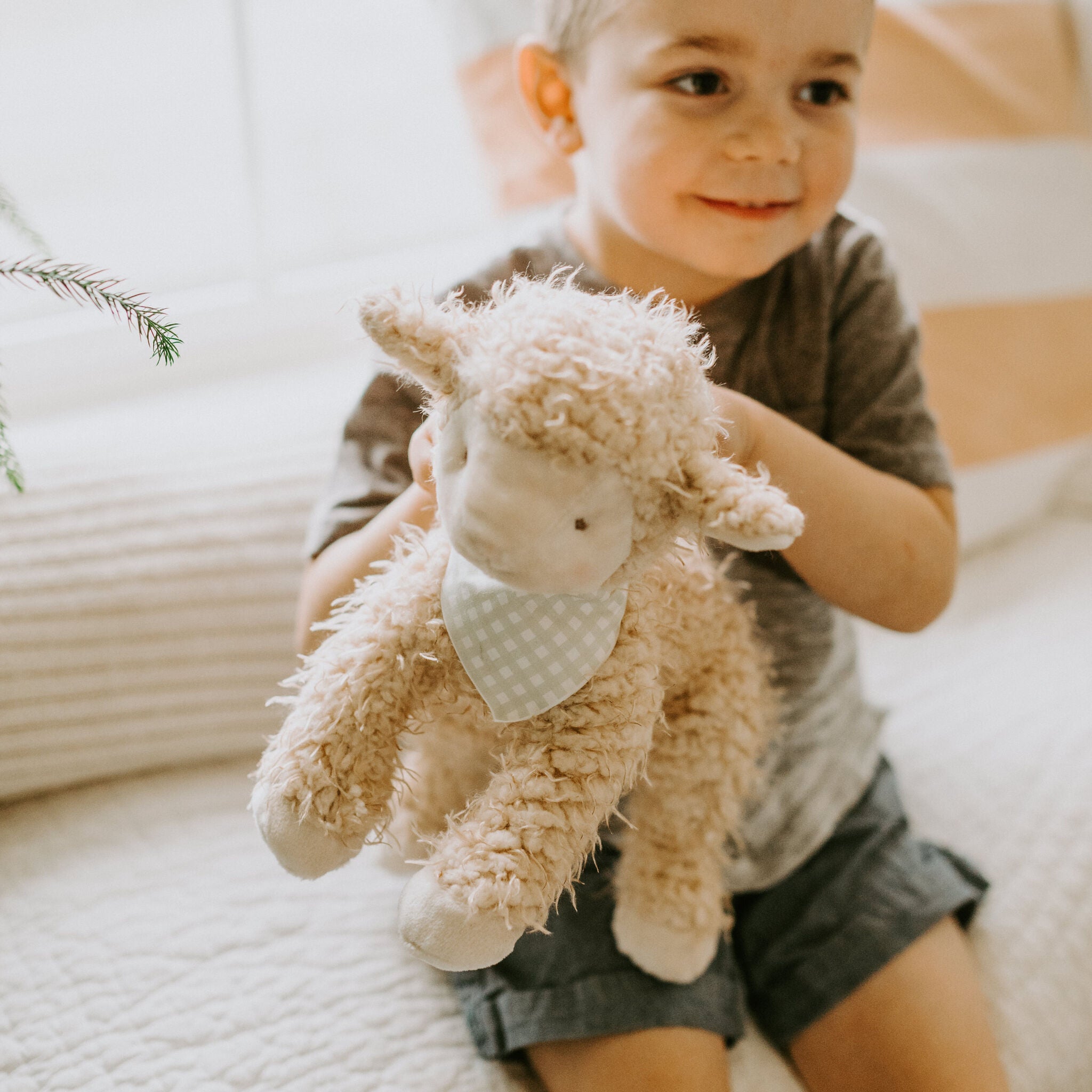 106071: Shep the Sheep