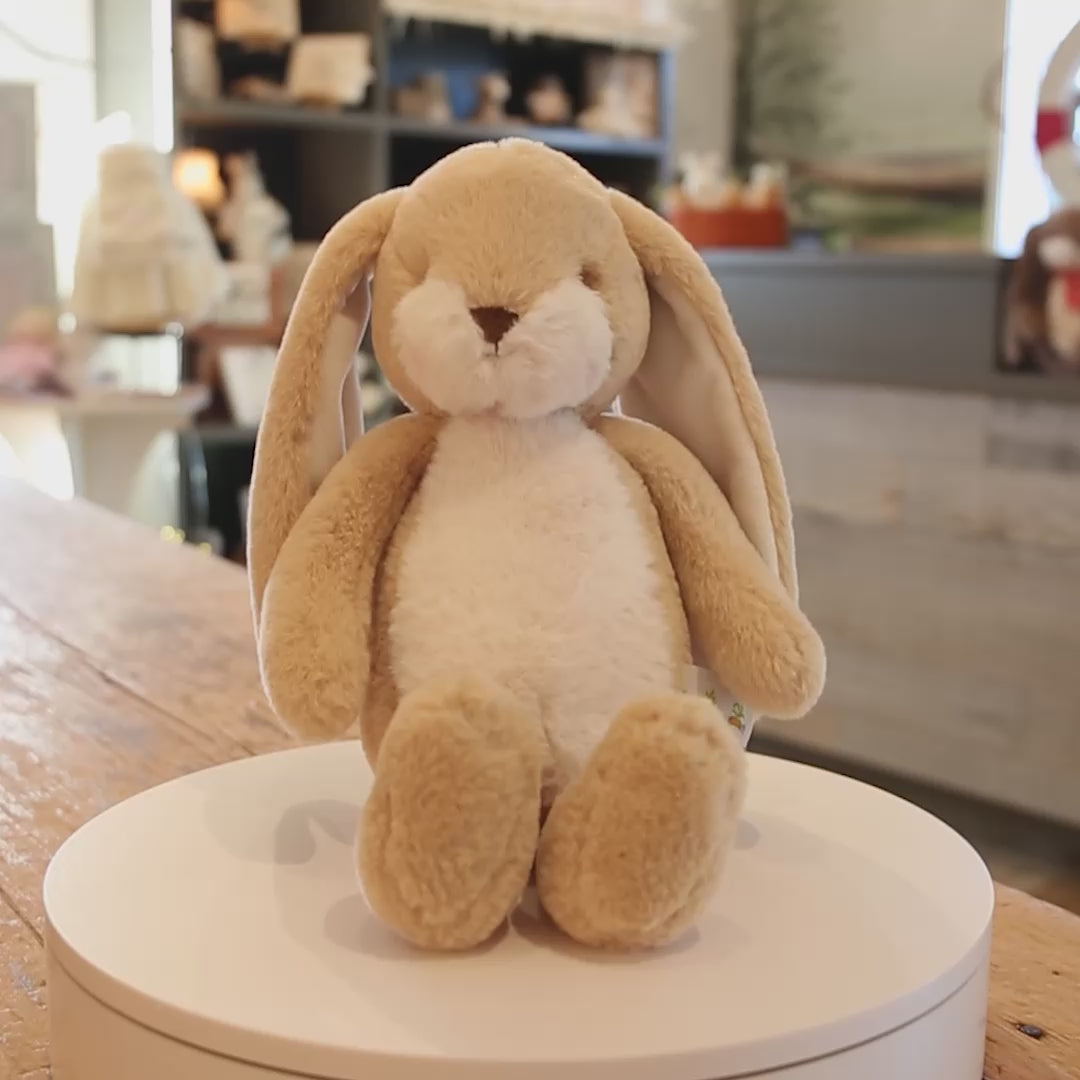 Little 12 inch Floppy Nibble Bunny - Almond Joy | Wholesale