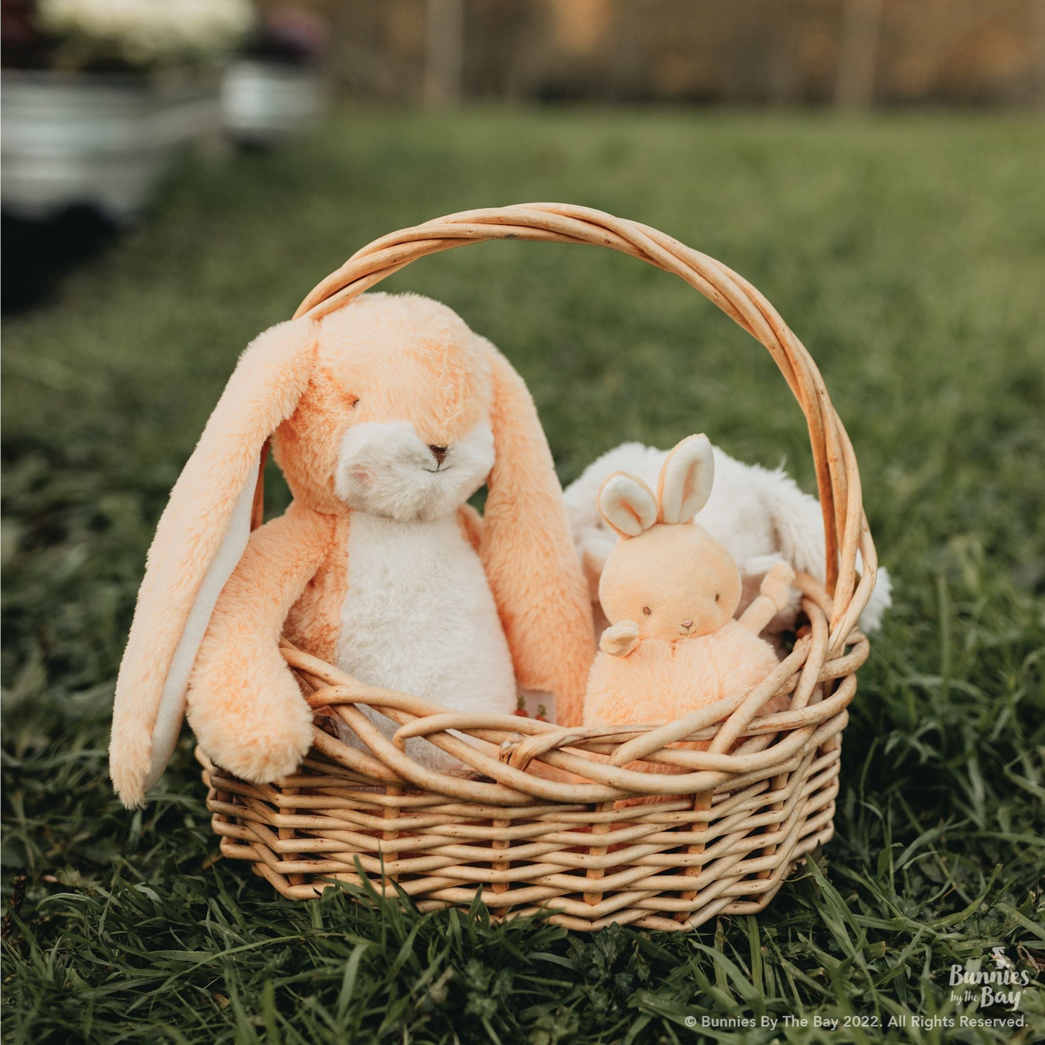190317: Roly Poly - Apricot Cream Bunny